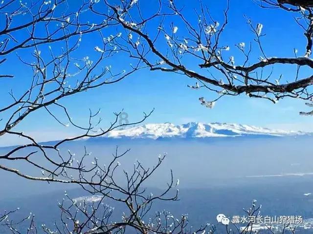 陶阿甘弹弹堂大作战