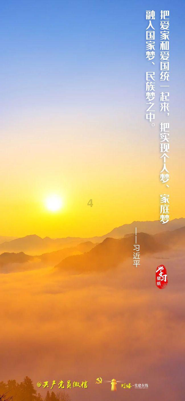 「送养」泰迪，田园猫咪，阿拉斯加