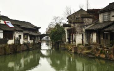 逃离白鸽之森